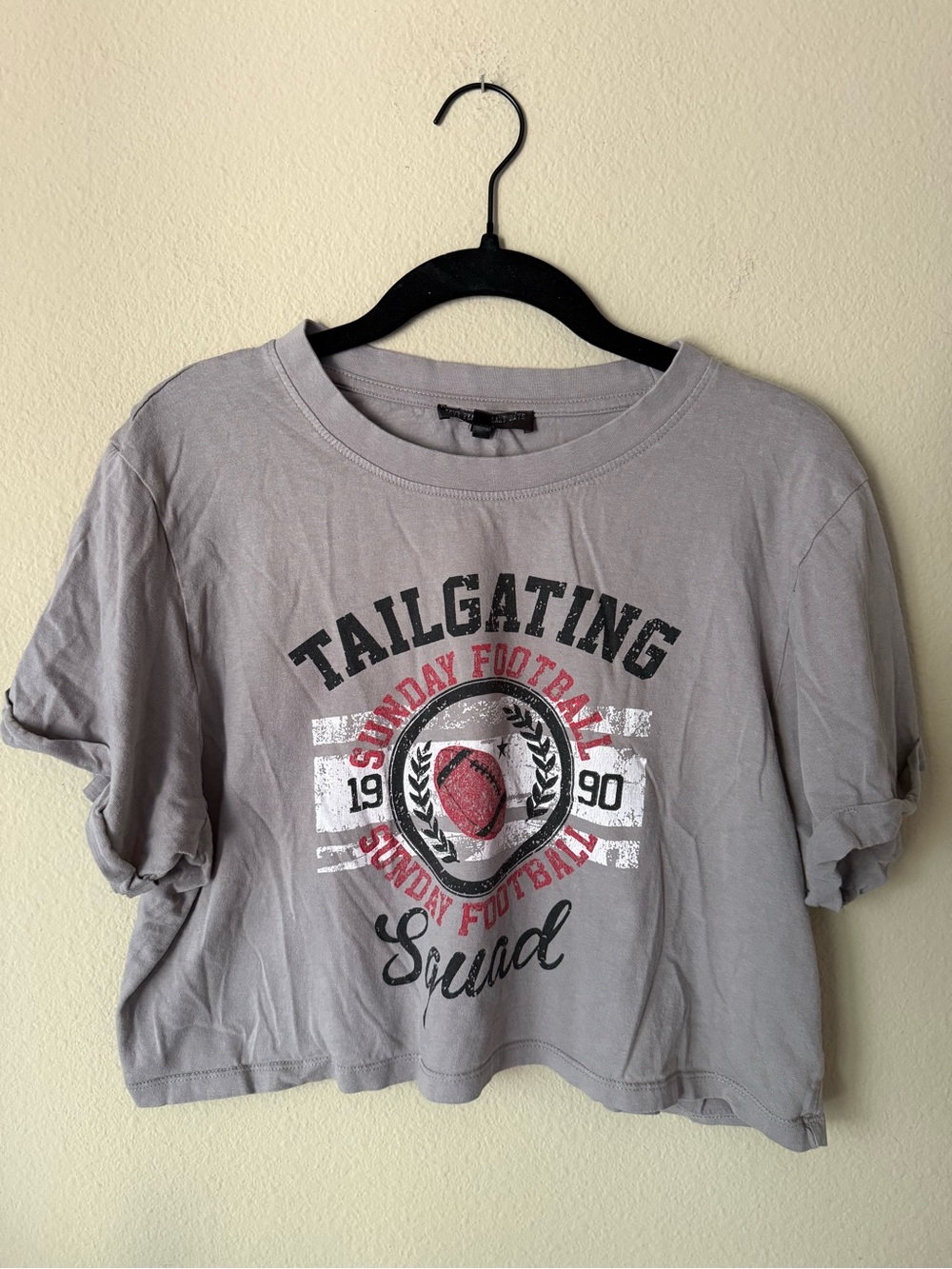 Tailgating Squad Sunday Football Gray Graphic Tee Crop Tee